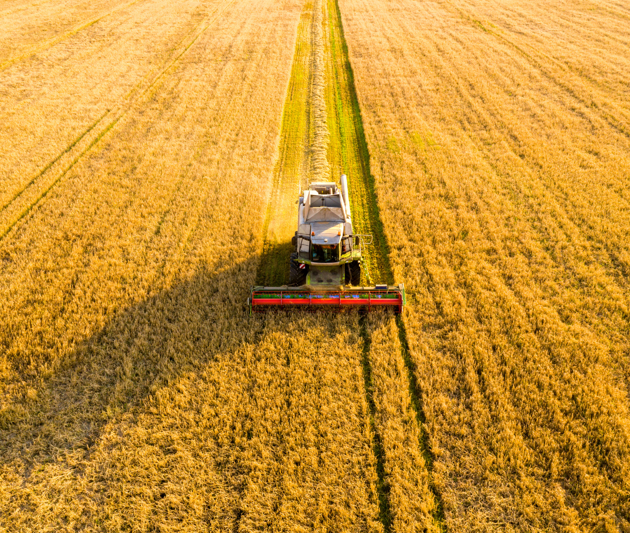 Stage V in agriculture application