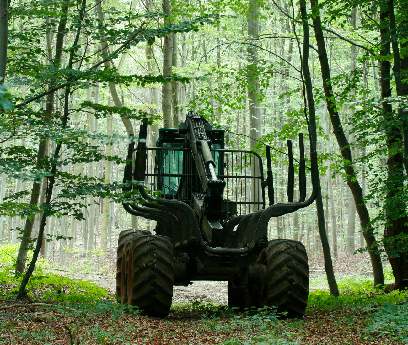 Non-road mobile forestry application.